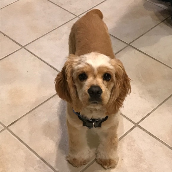 Meet your Posher, Jessica - Picture 1 of 1